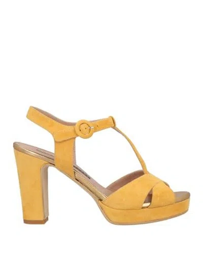 Chiarini Bologna Woman Sandals Marigold Size 11 Leather In Yellow