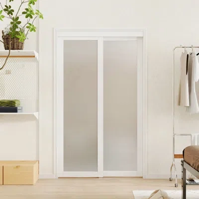 Chic Mode 1-lite Frosted Glass Manufacture Wood Sliding Closet Doors In White