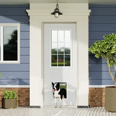 Chic Mode 9 Lite, Universal, Clear Glass, White Primed Wood Front Door Slab With Large Pet Door In Frosted