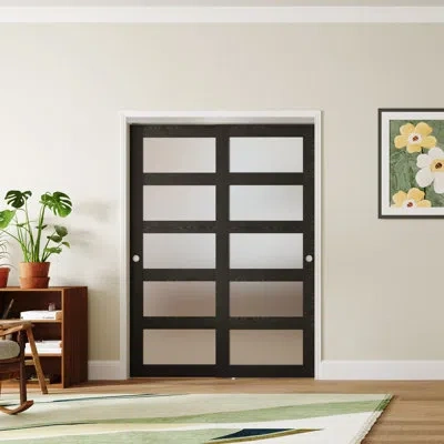 Chic Mode Double Doors 5 Lite Black Wood Frosted Glass Solid Manufactured Wood Prefinished Sliding Closet Door