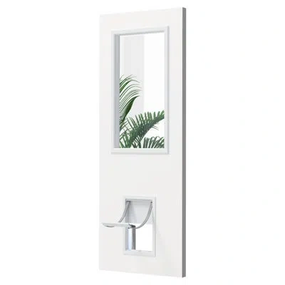 Chic Mode Exterior Door - 1lite Panel Outdoor Front Door With Pet Hole, Handle And Jamb Not Included In Natural;clear