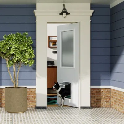 Chic Mode Exterior Door - Modern Outdoor Front Door Have A Dog Hole  Without Handle And Jamb In Natural;frosted