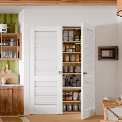 Chic Mode Interior Pantry Doors - White Louvers Design Double Standard Door Slab With Sliver Ball Handle Prefi