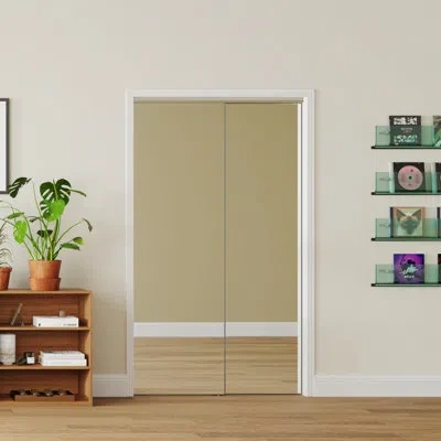 Chic Mode Mirror Closet Doors, 1-lite Mirror Aluminum Alloy Closet Doors Sliding Panels With Hardware Kit & Fl In White