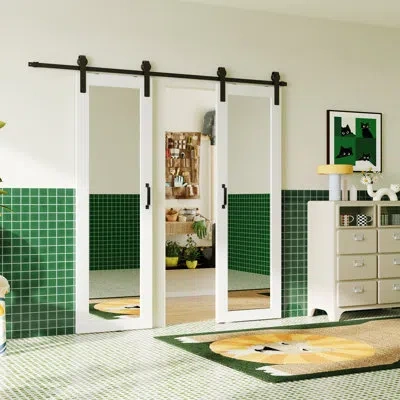 Chic Mode Modern Design Full Lite Mirrored Sufaced Sliding Barn Door Manufacture Wood With Hardware Included In White