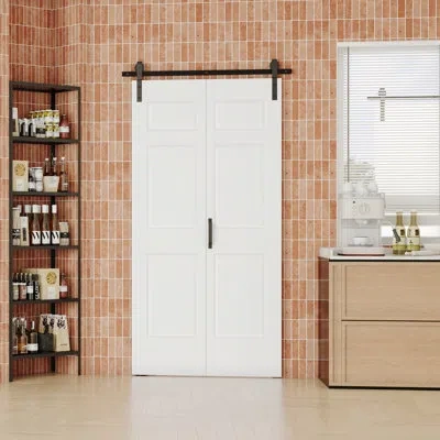 Chic Mode Solid Manufacture Wood Design - 6 Raised Panel Shapes Interior Double Bi-fold Barn Door Within Manuf In White