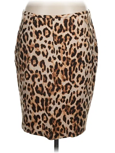Pre-owned Chico's Casual Skirt In Brown