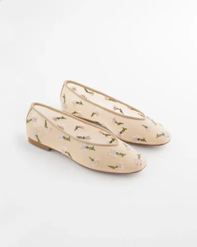 Chico's Orchid Embroidered Ballet Flats In Neutral In Brown