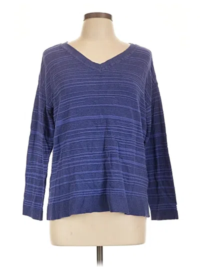 Pre-owned Chico's Pullover Sweater In Blue