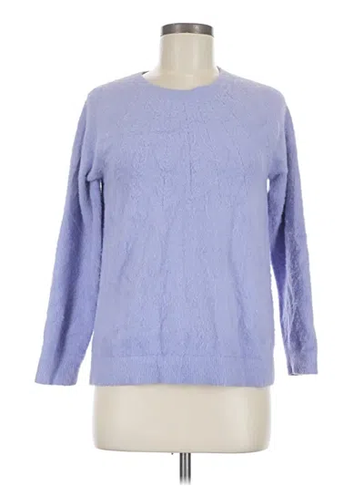 Pre-owned Chico's Pullover Sweater In Blue