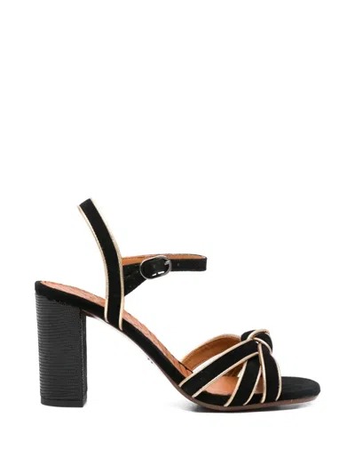 Chie Mihara Ballah Knot-detail Sandals In Black