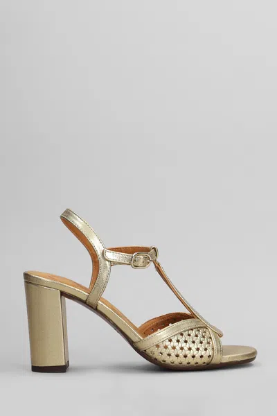 Chie Mihara Bechill Sandals In Gold Leather