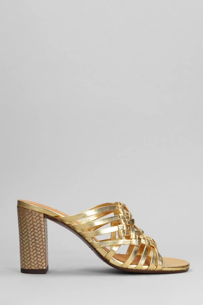 Chie Mihara Beijing Sandals In Gold Leather