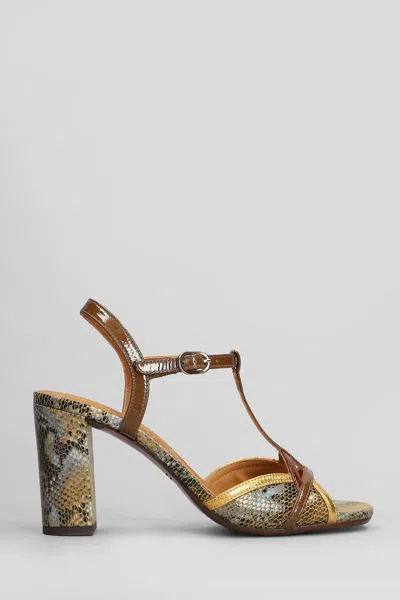 Chie Mihara Bejo Sandals