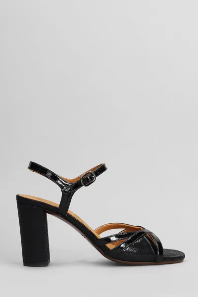 Chie Mihara Bemon Sandals In Black