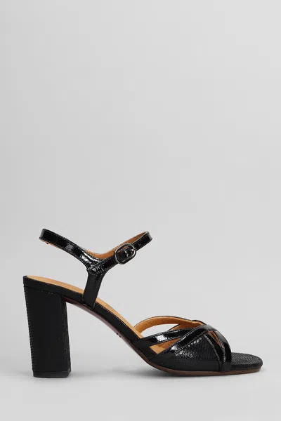 Chie Mihara Bemon Sandals In Black Leather