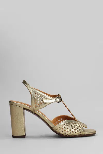 Chie Mihara Bessy 46 Sandals
