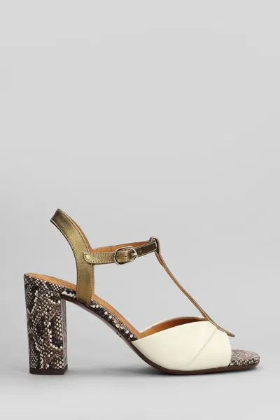 Chie Mihara Biagio 46 Sandals In Beige