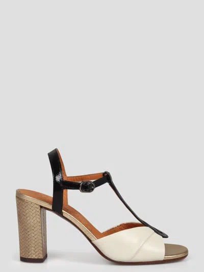 Chie Mihara Biagio Leather Sandals In Multicolor