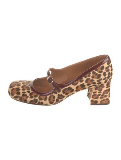 Pre-owned Chie Mihara Calf Hair Animal Print Pumps In Brown