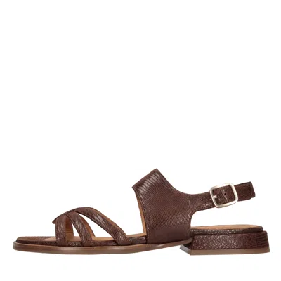 Chie Mihara Flat Shoes Brown