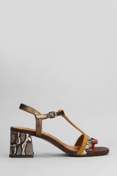 Chie Mihara Laluce Sandals In Leather Color Suede And Leather In Black