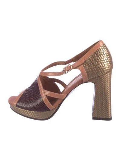 Pre-owned Chie Mihara Leather Animal Print Pumps In Brown