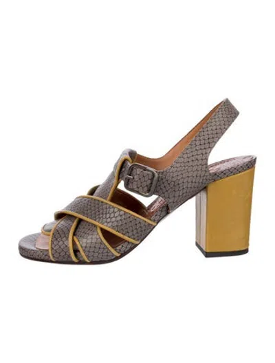 Pre-owned Chie Mihara Leather Animal Print Sandals In Brown