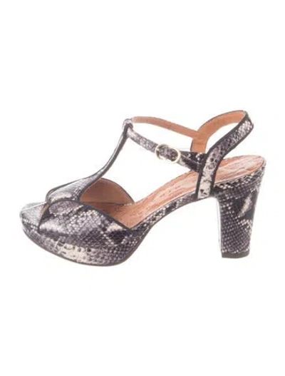 Pre-owned Chie Mihara Leather Animal Print T-strap Sandals In Gray