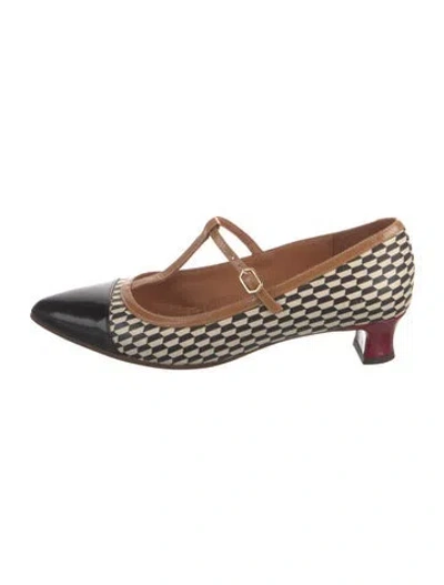 Pre-owned Chie Mihara Leather Printed Pumps In Brown