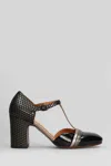 Chie Mihara Miver Pumps In Black
