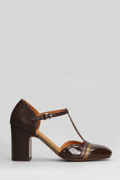 Chie Mihara Miver Pumps In Brown Leather