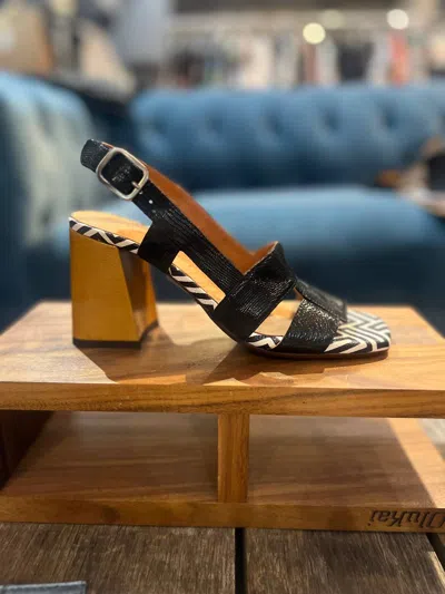 Chie Mihara Panya Shoes In Black