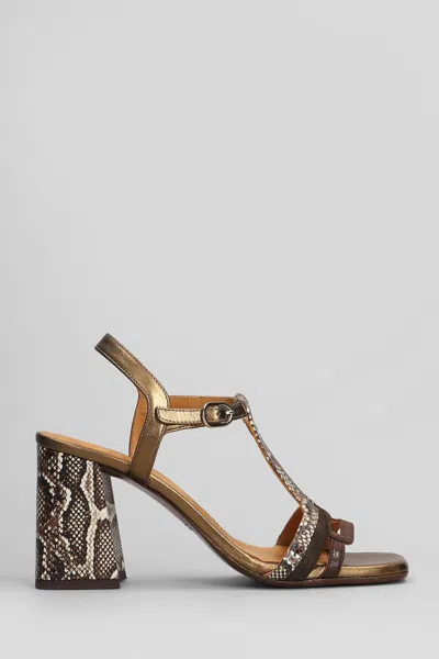 Chie Mihara Piyata 46 Sandals In Brown