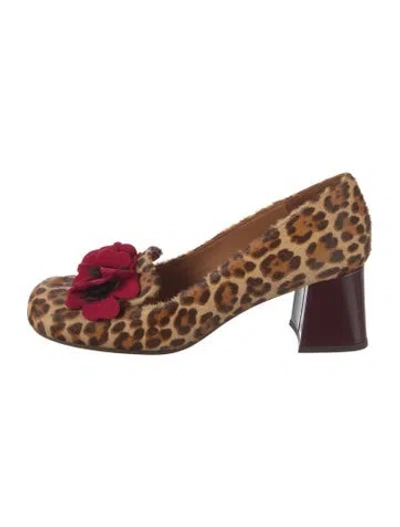 Pre-owned Chie Mihara Ponyhair Animal Print Pumps In Brown