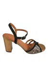 Chie Mihara Pumps In Black