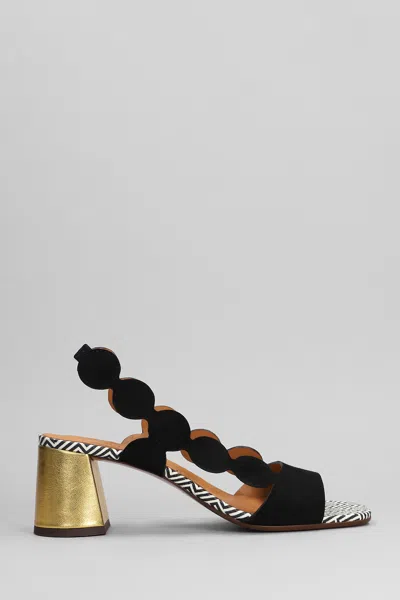 Chie Mihara Roka 50mm Sandals In Black