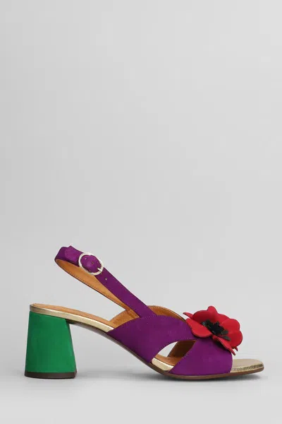 Chie Mihara Rutina 46 Pumps