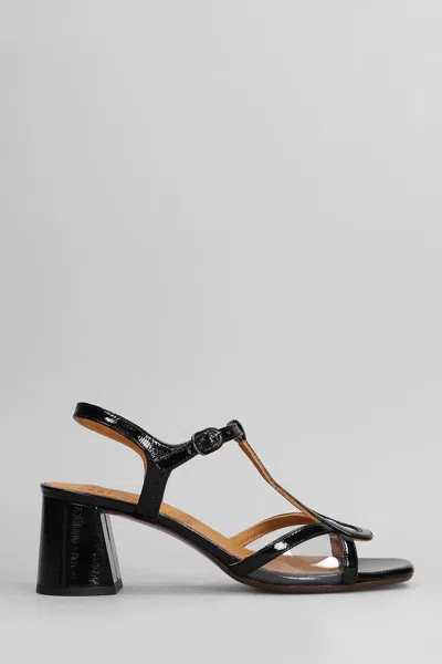 Chie Mihara Ryona Sandals In Black