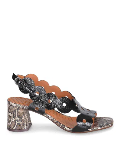 Chie Mihara Sandals Made Of  Leather In Black