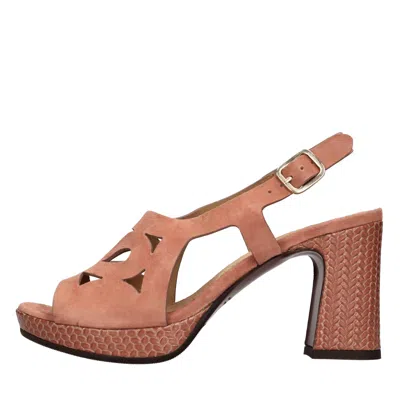 Chie Mihara Sandals Brown