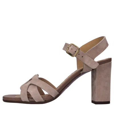 Chie Mihara Sandals In Brown