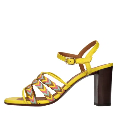 Chie Mihara Sandals In Animal Print