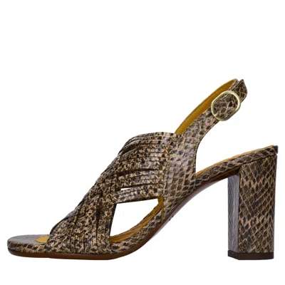 Chie Mihara Sandals In Multi
