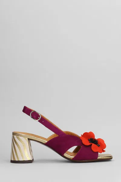 Chie Mihara Sandals In Purple