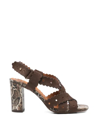 Chie Mihara Scalloped Snakeskin Sandals In Brown