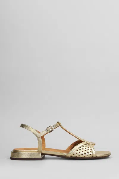 Chie Mihara Slipper-mule In Gold