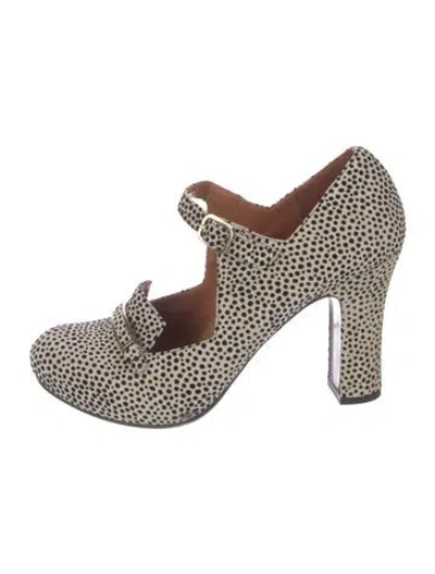 Pre-owned Chie Mihara Suede Animal Print Pumps In Neutral