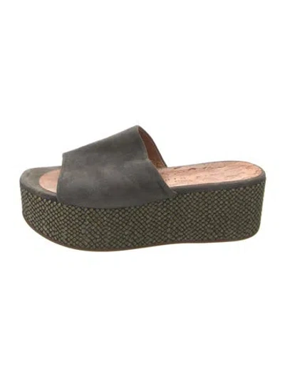 Pre-owned Chie Mihara Suede Espadrilles In Blue