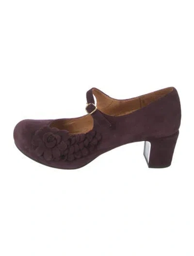 Pre-owned Chie Mihara Suede Floral Print Pumps In Burgundy
